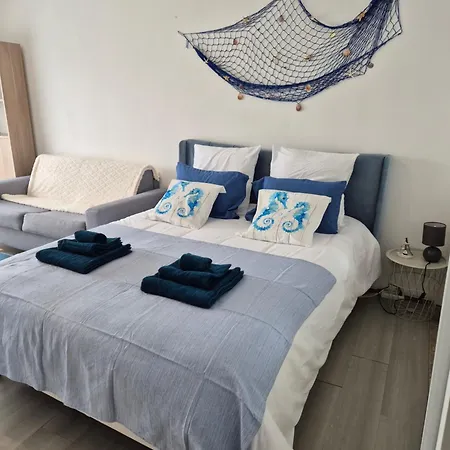 Grand Le Lagon Avec Ascenseur * Saint-Gaudens (Haute-Garonne)