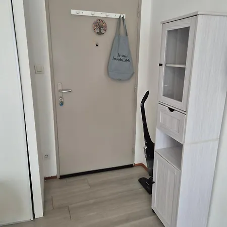 Apartment Grand Le Lagon Avec Ascenseur Saint Gaudens